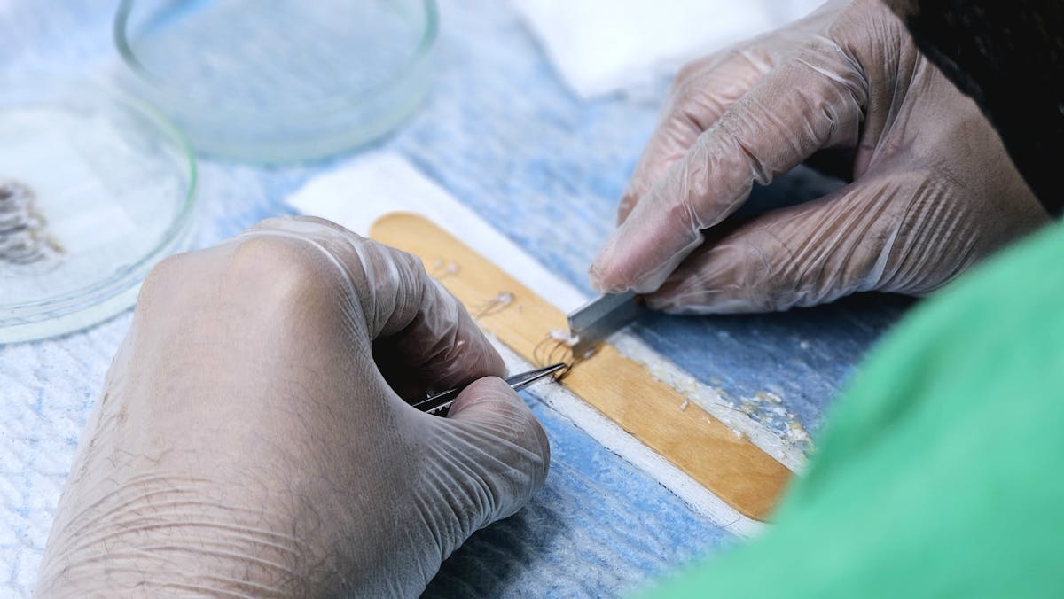 Surgeons